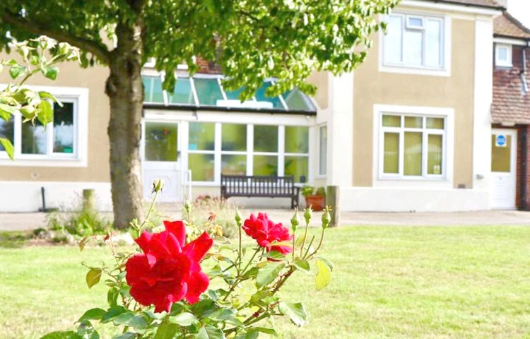 Rose in garden at Abbeyfield House, Brecon LD3 7RT