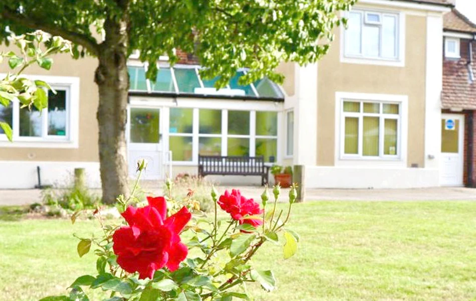 Rose in garden at Abbeyfield House, Brecon LD3 7RT