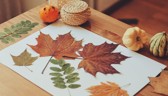 A Green Halloween: Five Easy Eco-Friendly Halloween Crafts Image