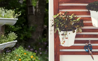 LawnStarter: The Basics of Vertical Gardening Image
