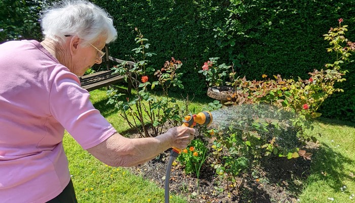 Seven health and wellbeing benefits of gardening Image