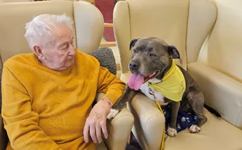 Misty the therapy dog gives Abbeyfield House residents pedigree experience Image