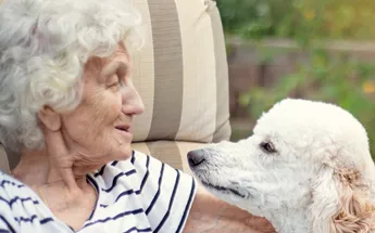 Five ways dogs enhance the lives of older people Image
