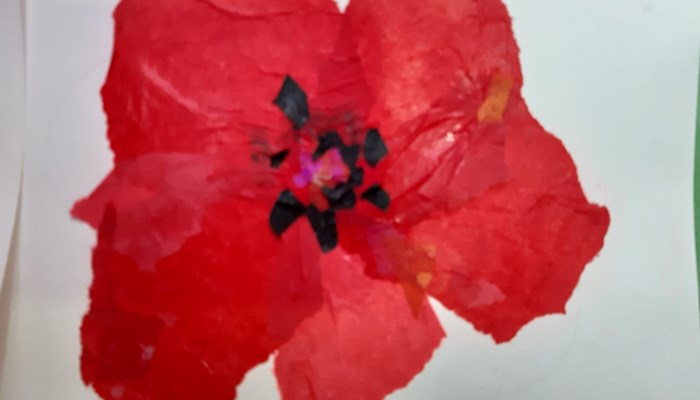 How to: Creating your own remembrance poppy Image