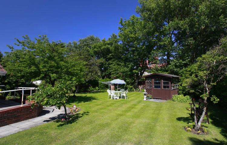 Large bright garden with tall trees and a wooden shed