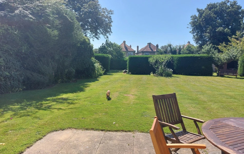 Large, Spacious Garden With A Visiting Fox